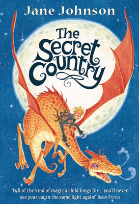 The Secret Country(English, Paperback, Johnson Jane)