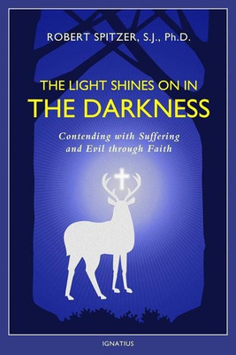The Light Shines on in the Darkness(English, Paperback, Spitzer Robert Fr)