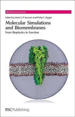 Molecular Simulations and Biomembranes  - From Biophysics to Function(English, Hardcover, unknown)