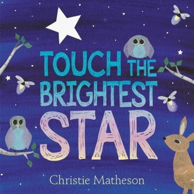 Touch the Brightest Star(English, Hardcover, Matheson Christie)