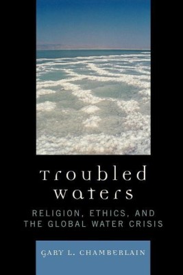 Troubled Waters(English, Paperback, Chamberlain Gary)