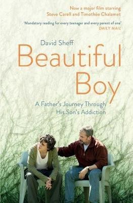 Beautiful Boy(English, Paperback, Sheff David)