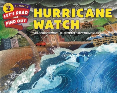 Hurricane Watch(English, Paperback, Stewart Melissa)