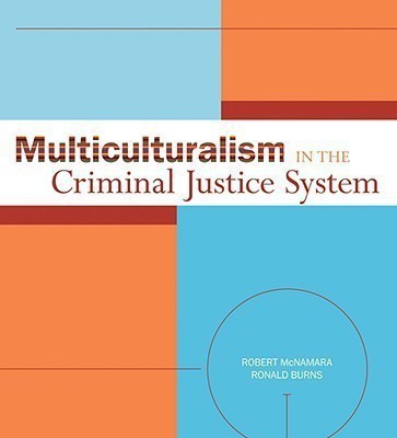 Multiculturalism in the Criminal Justice System(English, Paperback, McNamara Robert)