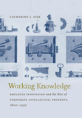 Working Knowledge(English, Paperback, Fisk Catherine L.)