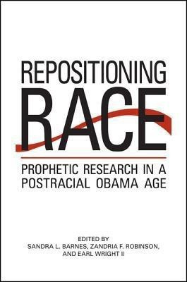 Repositioning Race(English, Hardcover, unknown)
