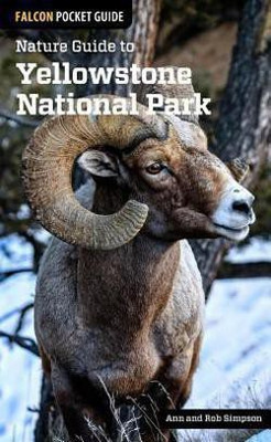 Nature Guide to Yellowstone National Park(English, Paperback, Simpson Ann)