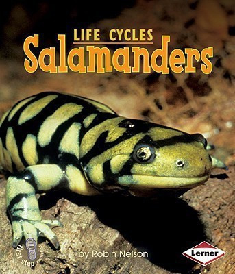 Salamanders(English, Paperback, Nelson Robin)