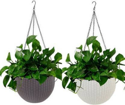 Funtastik Plant Container Set(Pack of 2, Plastic)