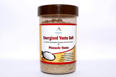 Pinnacle Vastu Energized Salt It is used For removing the Negative Energy of your house Horse Salt Block(1000 g)