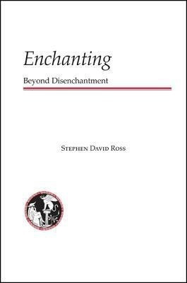 Enchanting(English, Paperback, Ross Stephen David)