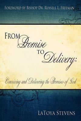 From Promise to Delivery(English, Paperback, Stevens LaToya)