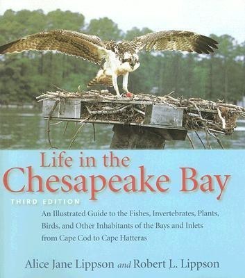 Life in the Chesapeake Bay(English, Paperback, Lippson Alice Jane)