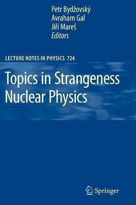Topics in Strangeness Nuclear Physics(English, Paperback, unknown)