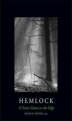 Hemlock(English, Electronic book text, D'Amato Anthony)