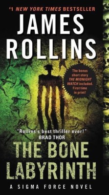 The Bone Labyrinth(English, Paperback, Rollins James)