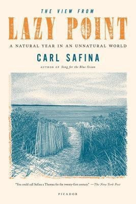 The View From Lazy Point(English, Paperback, Safina Carl)