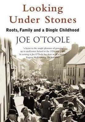 Looking Under Stones(English, Paperback, O'Toole Joe)