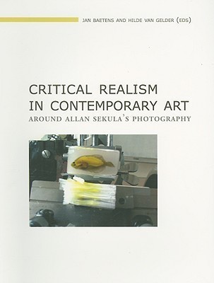 Critical Realism in Contemporary Art(English, Paperback, unknown)