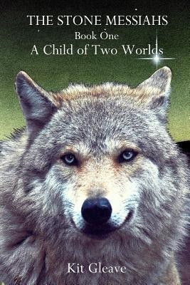 The Stone Messiahs - Book One - A Child of Two Worlds(English, Paperback, Gleave Kit)