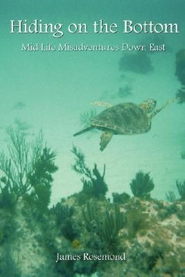 Hiding on the Bottom(English, Paperback, Rosemond James)