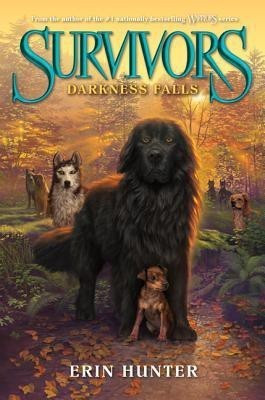 Darkness Falls(English, Paperback, Hunter Erin)