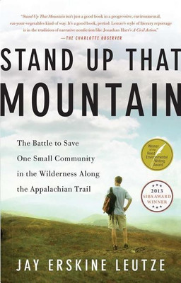 Stand Up That Mountain(English, Paperback, Leutze Jay Erskine)