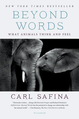 Beyond Words(English, Paperback, Safina Carl)