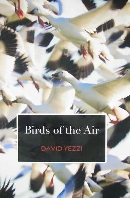 Birds of the Air(English, Paperback, Yezzi David)