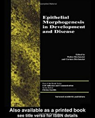 Epithelial Morphogenesis in Development and Disease(English, Hardcover, Birchmeier Walter)
