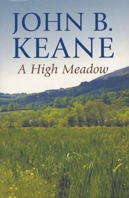 A High Meadow(English, Hardcover, Keane John B.)