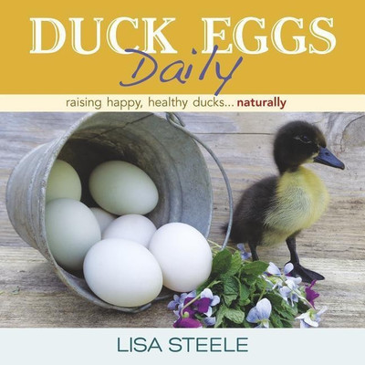 Duck Eggs Daily(English, Hardcover, Steele Lisa)