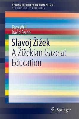 Slavoj Zizek(English, Paperback, Wall Tony)