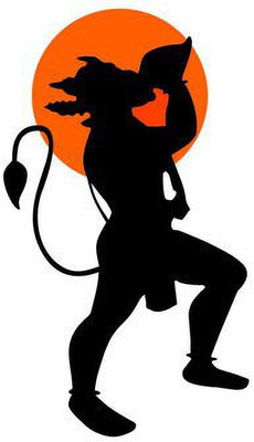 Helsov Sticker & Decal for Car & Bike(Black, Orange)