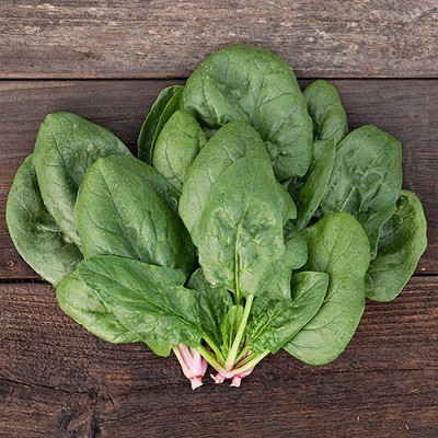 Sjeme Carvoir Spinach / Palak seed Seed(70 per packet)