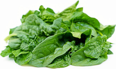 Sjeme Savoy Spinach / Palak seed Seed(140 per packet)