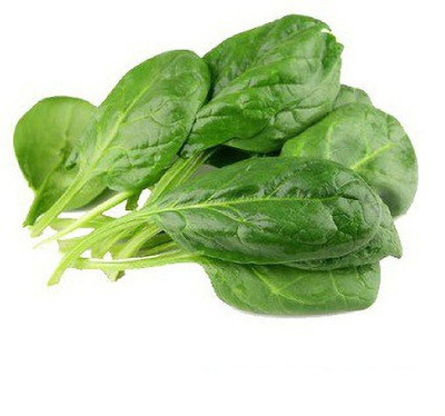 Sjeme Imported Spinach / Palak seed Seed(65 per packet)