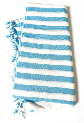 Sundri Bhagalpuri Striped Single Throw for  Mild Winter(Silk, Blue
White)