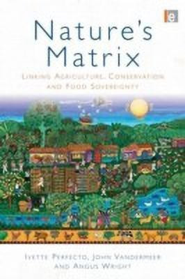Nature's Matrix(English, Hardcover, Perfecto Ivette)