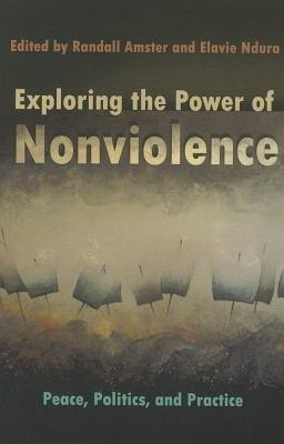 Exploring the Power of Nonviolence(English, Paperback, unknown)