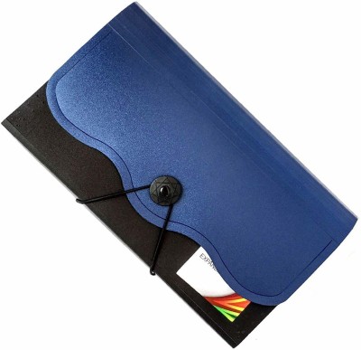 JSM Plastic Expanding Cheque Book Holder Case, 12 Pocket Multi Passbook Holder/Bill Folder/Passport/Memo Cards/Cash Storage Pouch Organizer with Elastic Swing, Pack of 1(Set Of 1, Blue)