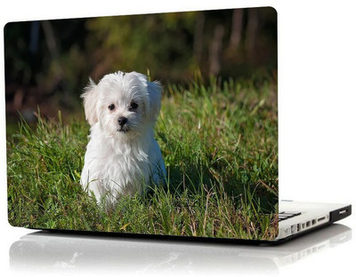 https://rukminim1.flixcart.com/image/400/400/kialrww0-0/laptop-skin-decal/z/e/g/cute-little-dog-print-laptop-skin-laptop-sticker-for-for-lg-original-imafy49zevy8vcj5.jpeg?q=90