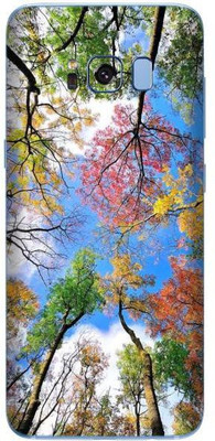 aadia Samsung Galaxy S8 Mobile Skin(Multicolor)