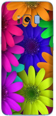 aadia Samsung Galaxy S8 Mobile Skin(Multicolor)