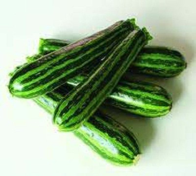 Sjeme Summer Green Tiger Zucchini Seed(20 per packet)