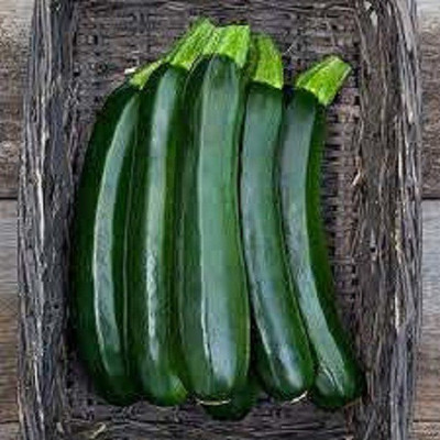 Sjeme Partenon F1 Zucchini Seed(10 per packet)