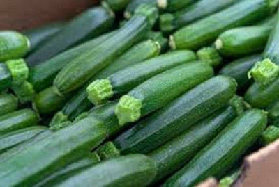 Sjeme Desi Zucchini Seed(70 per packet)