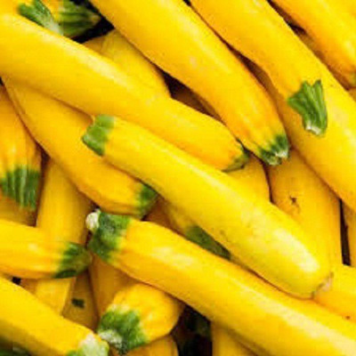 Sjeme Atena Polka F1 Zucchini Seed(10 per packet)