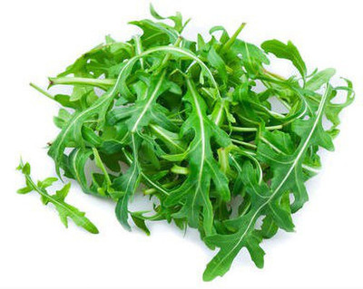 Arlo Rocket Leaf Arugula Seed(25 per packet)