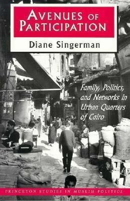Avenues of Participation(English, Paperback, Singerman Diane)